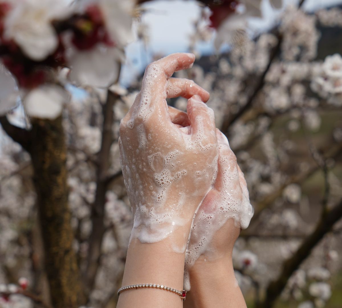 Bouquet de Fleurs
